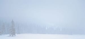 Winter Background